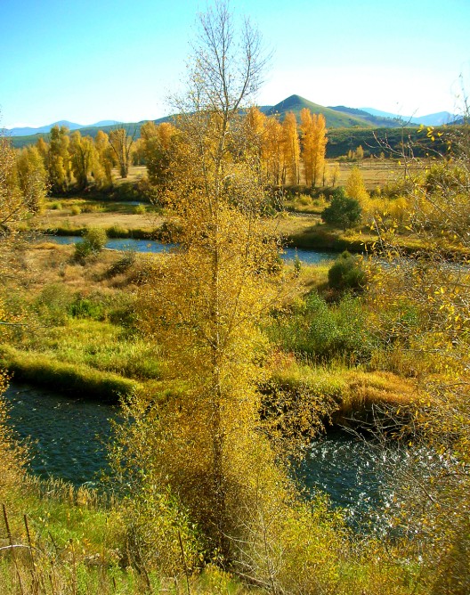 Field and Stream in Colorado